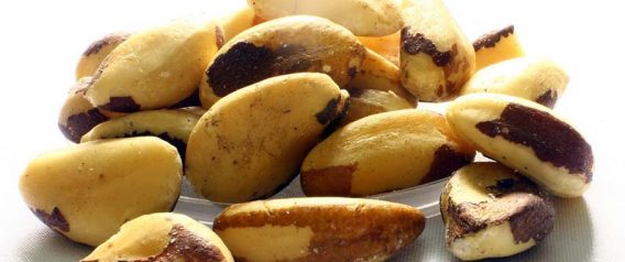 Brazil Nuts