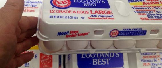 Free Range Eggs