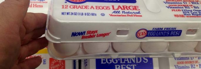 Free Range Eggs