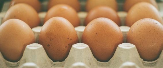 Eggs Health